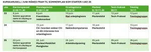 plan for juni